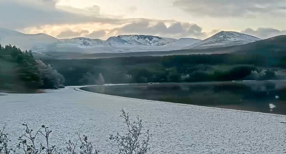 Scotland Webcams Live 4 Loch Morlich